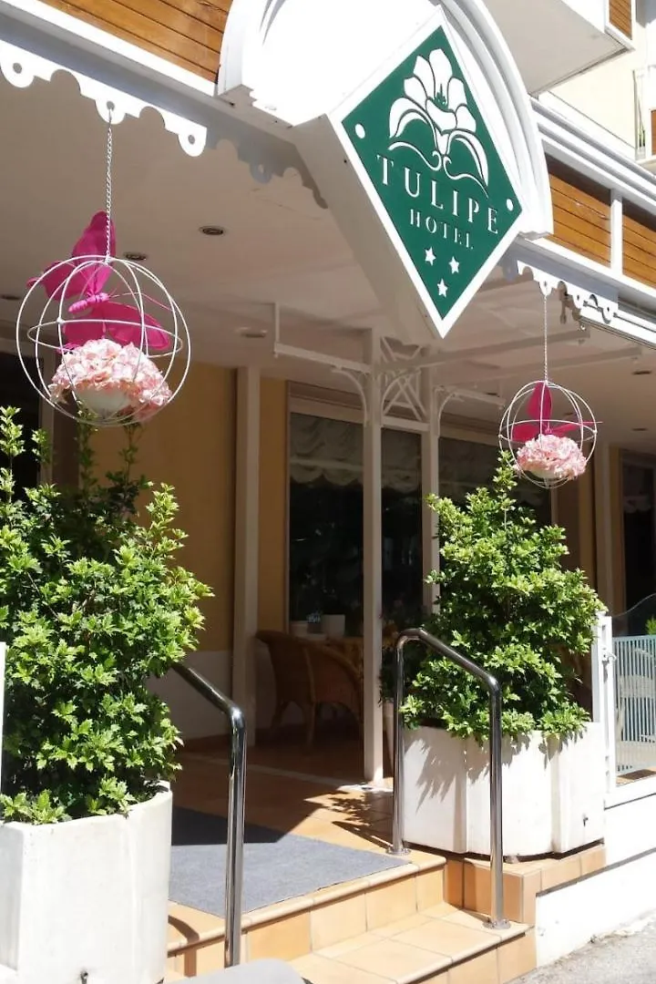 Hotel Tulipe Nazionale Riccione 3*,
